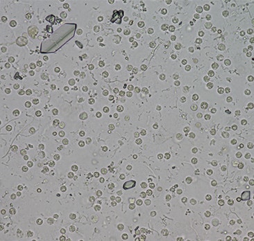 image Element%20AIM_secondary_4