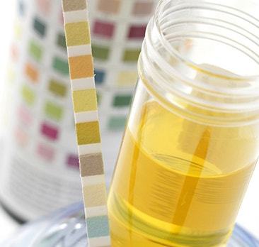 image PocketChem%20UA_secondary_2%20%281%29