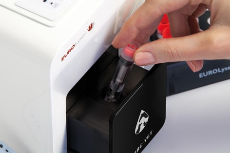 image Test_procedure_2