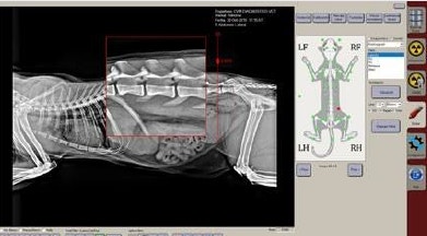 image clarox%20dr%202