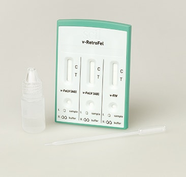 image scil%20v-RetroFel_secondary_2