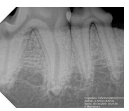 image BEST%20X%20DC%202