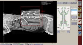 image COMPACT%20DR%203%20-%20copia