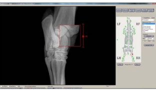 image POTRO%20DR%203_0