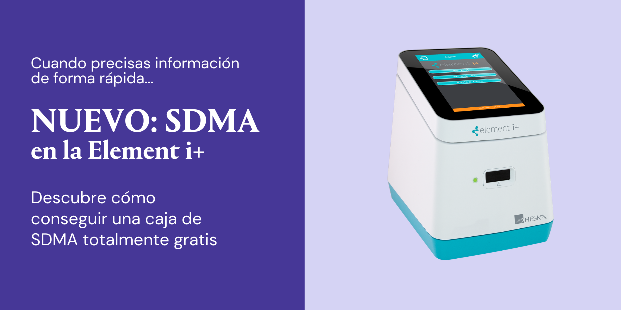 NUEVO SDMA