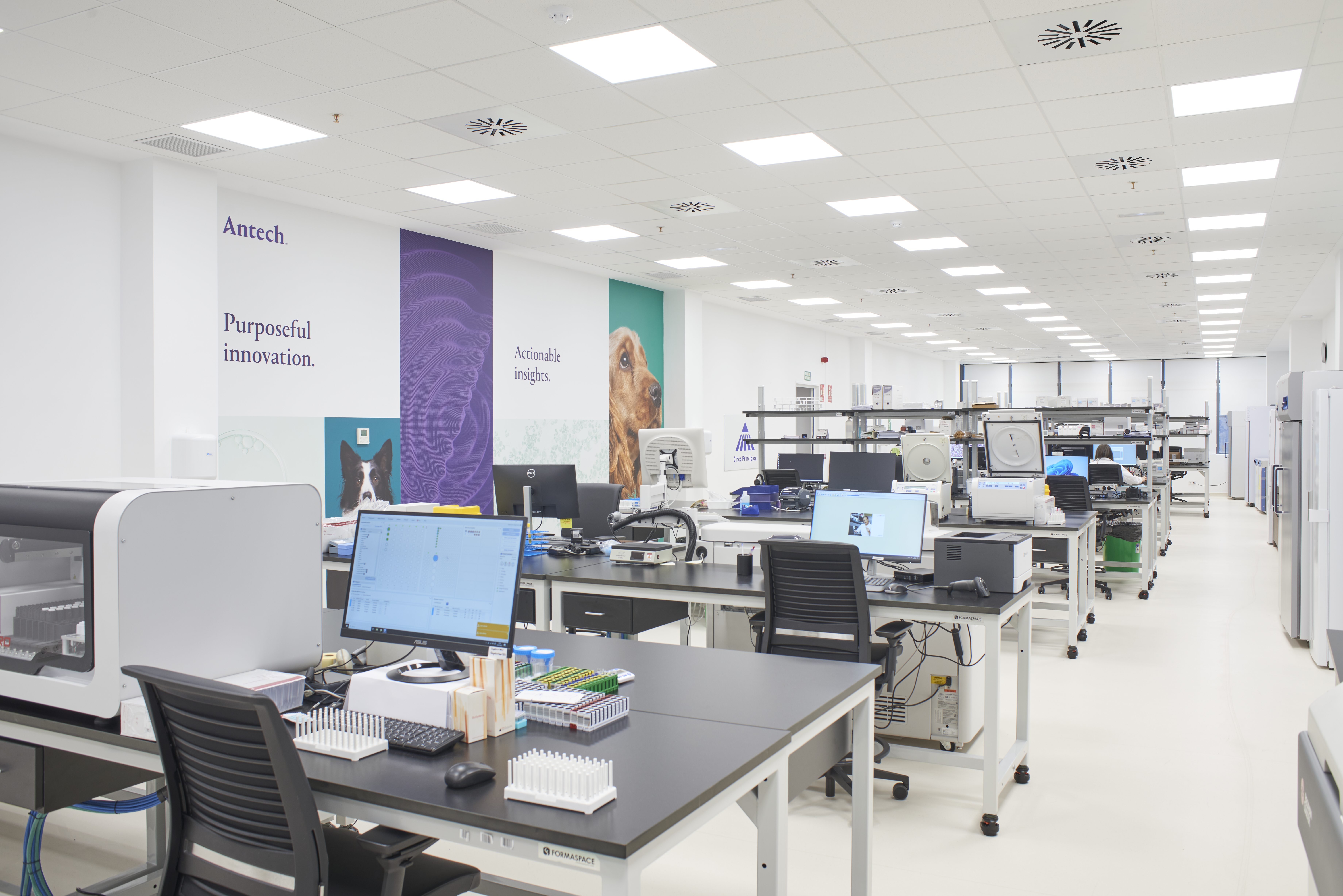 Mars_Petcare_Madrid_7302